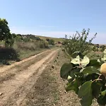 Kublay's
