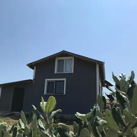 Kublay's Holiday home