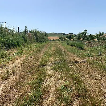 Nyaraló Kublay's *