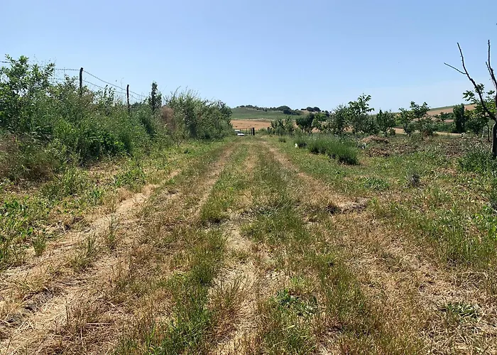 بيت للعطل Kublay's